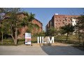 iilm-small-0