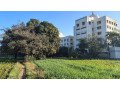 idyllic-institute-of-management-small-4