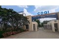 chameli-devi-group-of-institutions-small-3