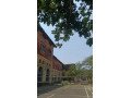 makhanlal-chaturvedi-government-girls-pg-college-khandwa-small-0
