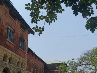makhanlal-chaturvedi-government-girls-pg-college-khandwa