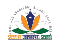 sunrise-group-of-institutions-small-0