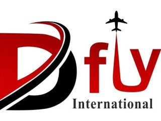 dfly-international